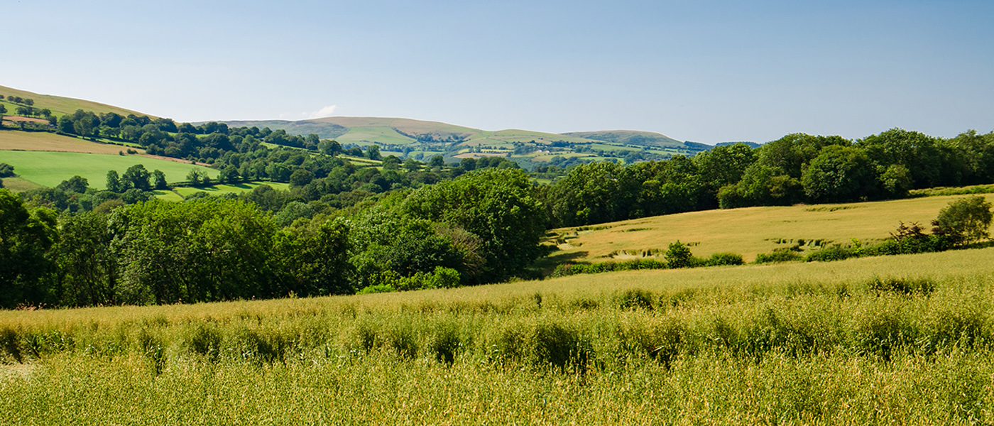 Rolling fields